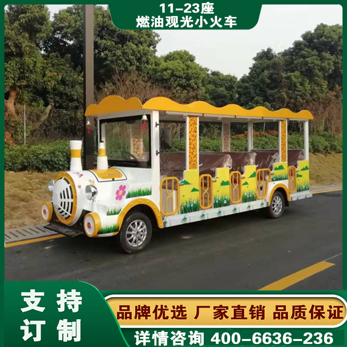 山东威海汽油观光车