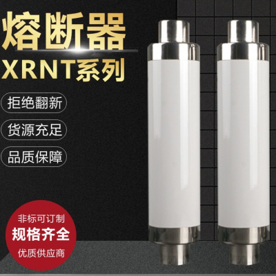 2023年RN1-6/40高压限流熔断器