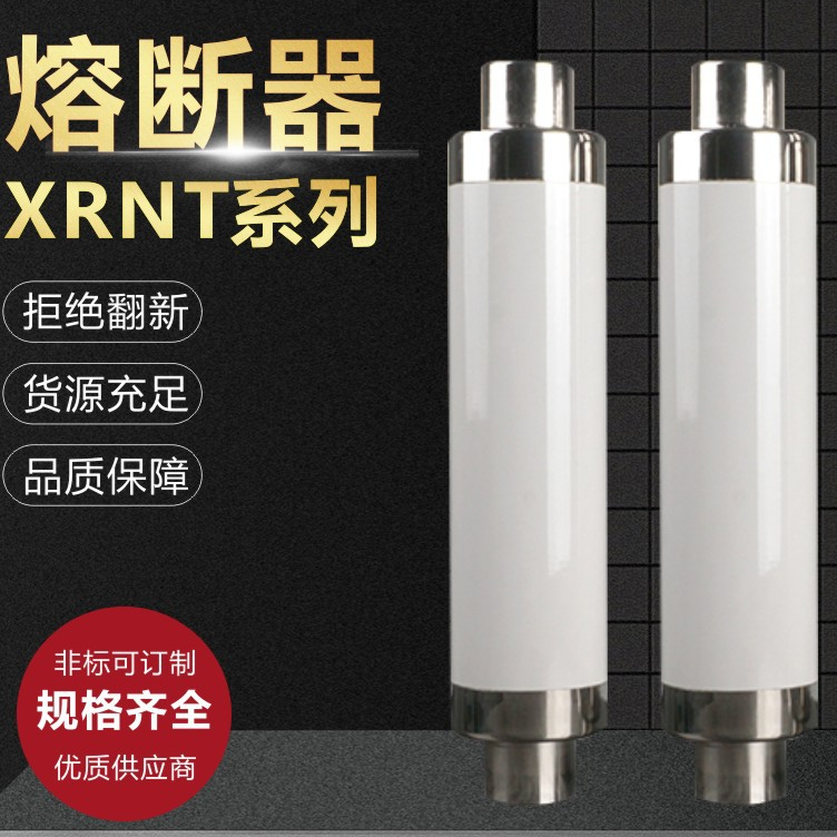 2023年RN3-6/20高压限流熔断器