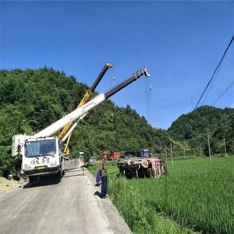 临高县救援吊车电话 自卸吊出租 滚轮输送设备