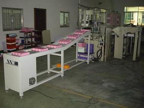 温州速冻食品链斗式多功能自动包装机(新型伺服规格齐全