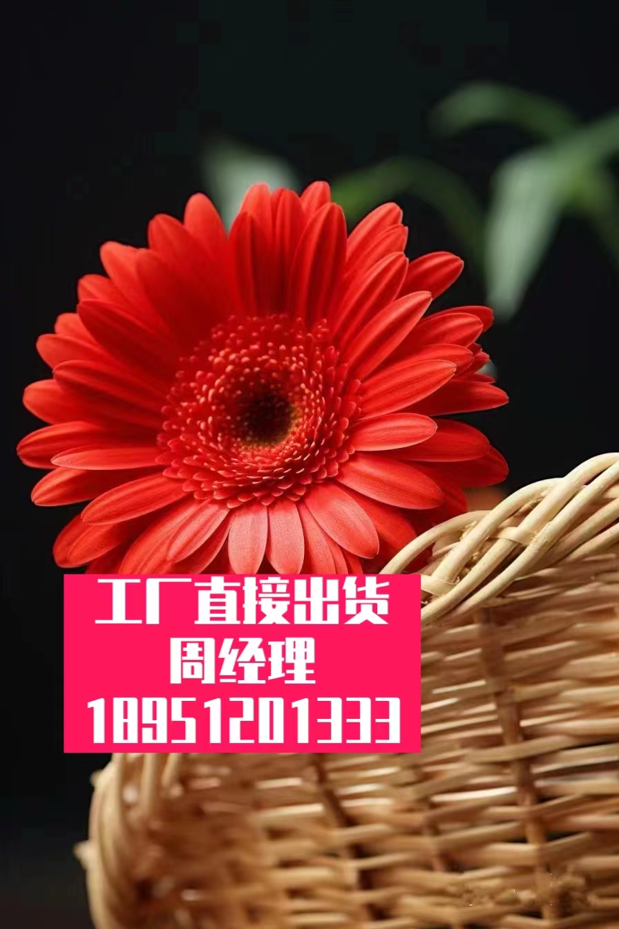 澳洲坚果蛋白肽酶解液-果仁动态高压同步提取-植物油