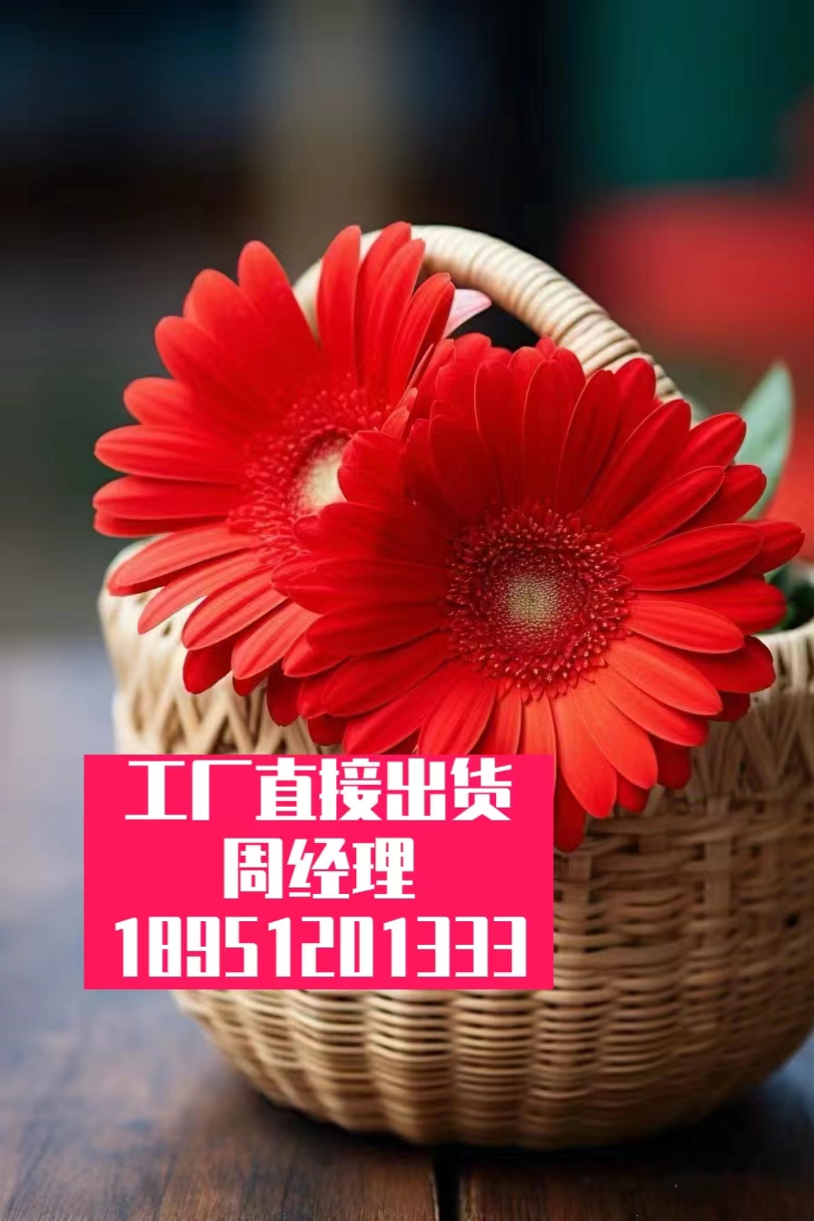 汽车液压滑轮机动车防-滑防滑鞋路面快速修补-沥青混