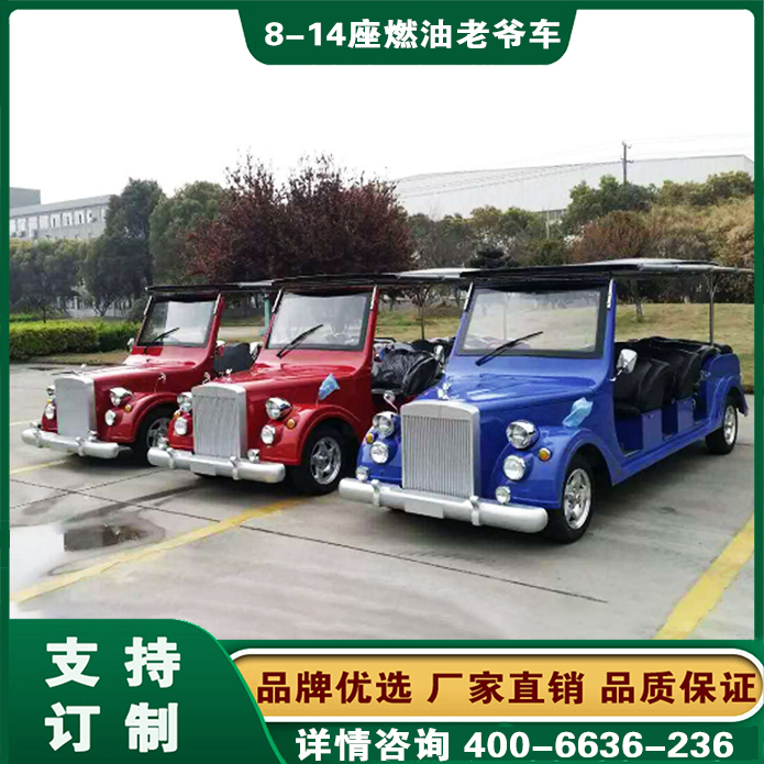 福建厦门汽油观光车