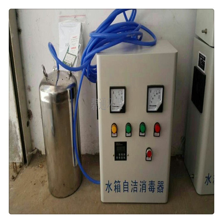 广东外置式水箱消毒器 臭氧消毒器 碧通供应