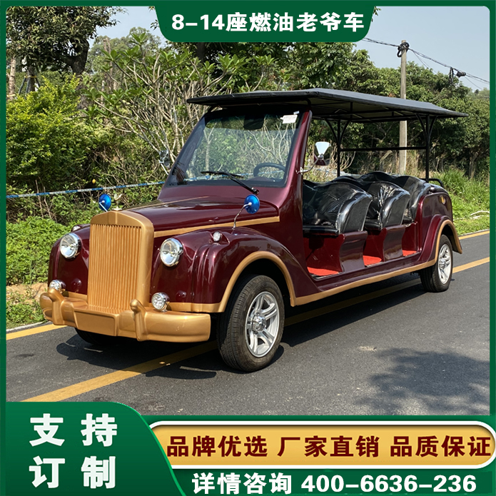 福建厦门汽油观光车