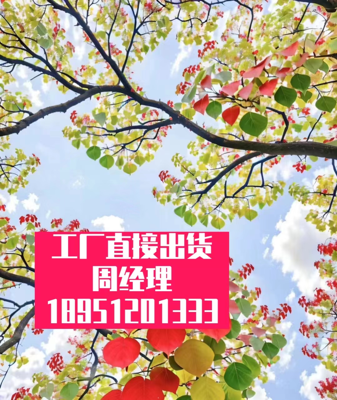 汽车液压滑轮机动车防-滑防滑鞋路面快速修补-沥青混