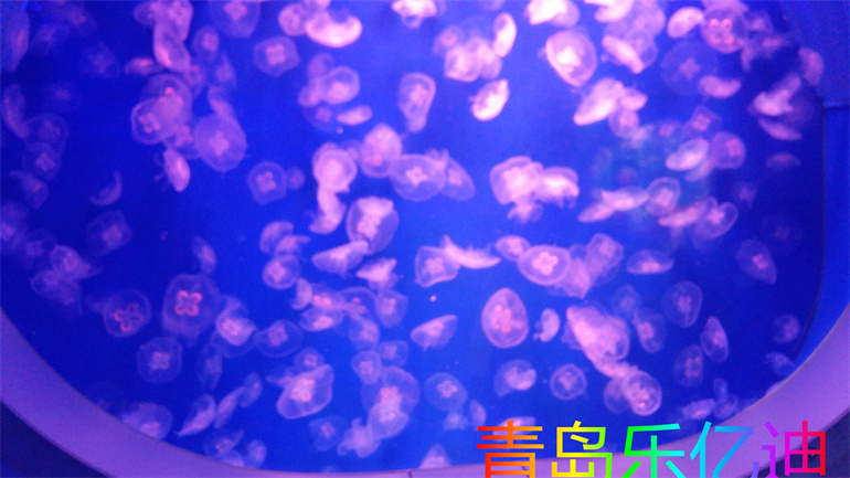 山东水族馆海底世界灯光施工联系电话