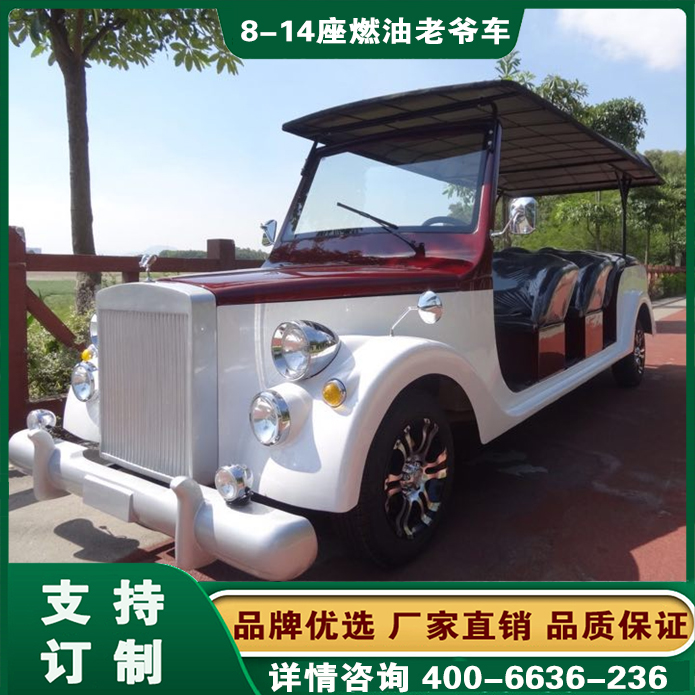 福建厦门汽油观光车