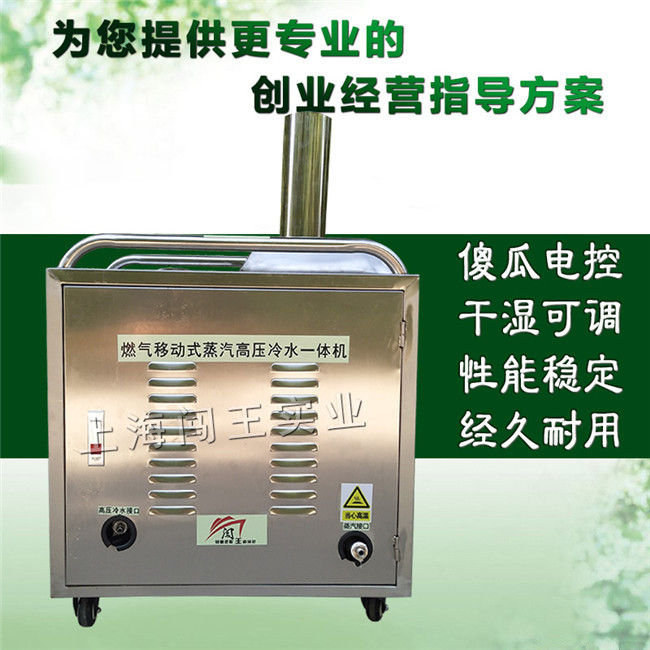 商用多种配件​容易清洁蒸汽清洗机​