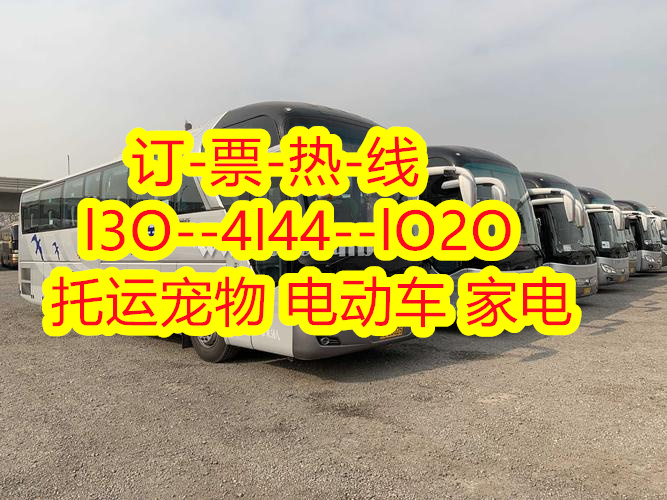 周口到石狮长途客运班车豪华汽车,的客运班车豪华客车