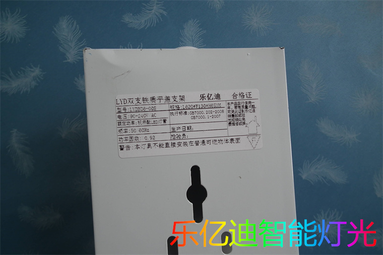 遙控太陽能投光燈/智能太陽能泛光燈圖片_4