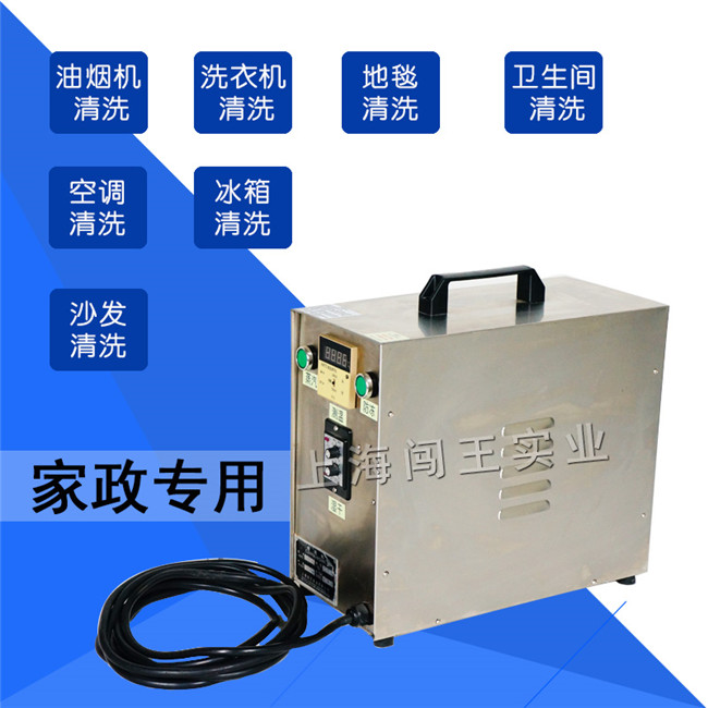 地毯清洗设备家用蒸汽机​汽车专用蒸汽