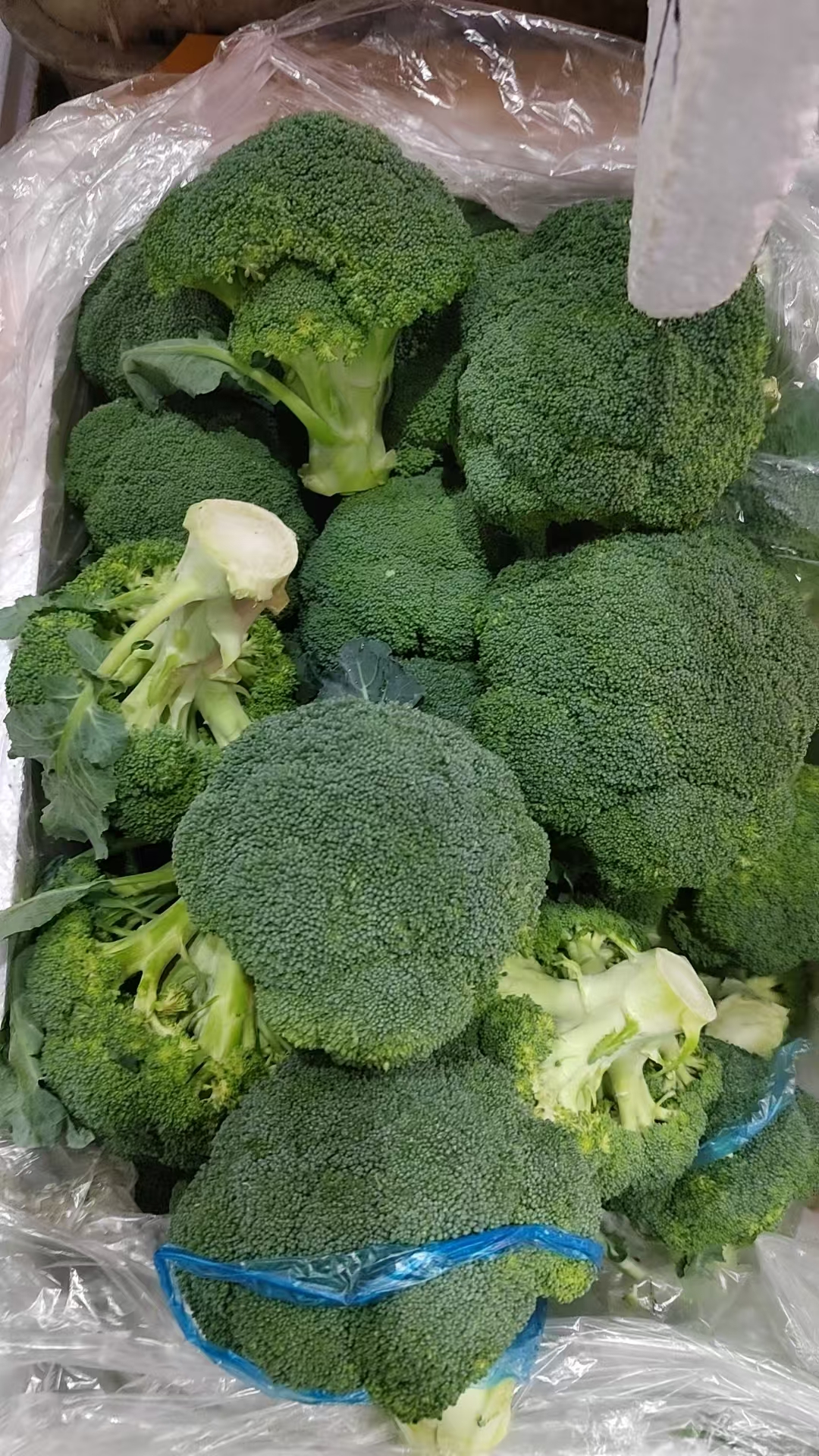 广州蔬菜配送工地蔬菜配送批发配送