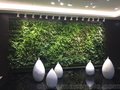 长沙/株洲/湘潭植物墙、垂直绿化、雨林缸案例 植来植趣