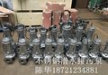 wqp不锈钢排污泵65wqp25-32-5.5kw扬程32米