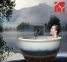 景德镇陶瓷厂家浴场专用的泡澡缸
