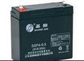 圣阳相当长12V24AH价格