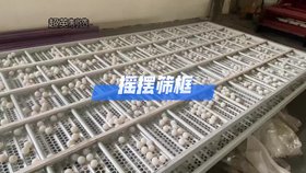 篩框生產(chǎn)廠家 方形搖擺篩專用直線篩配件 搖擺篩零件