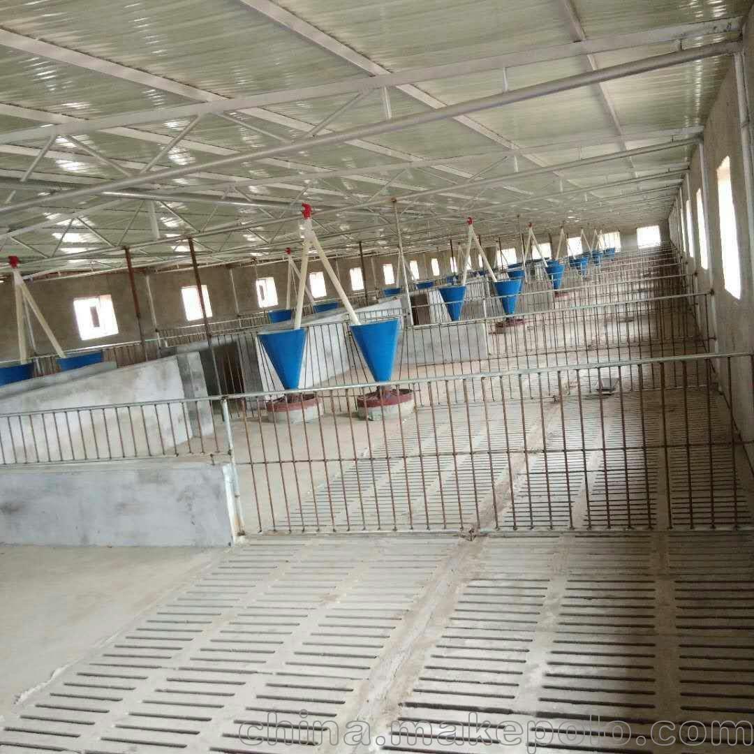 自动化养猪设备 猪场自动化料线 塞盘链条式料线