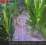 商家推销滴灌微喷系统