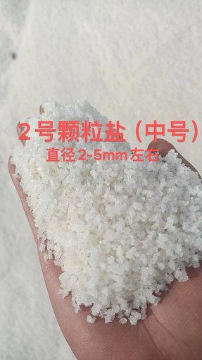 遼源工業(yè)級化工鹽無色晶體 顆粒 99含量圖片