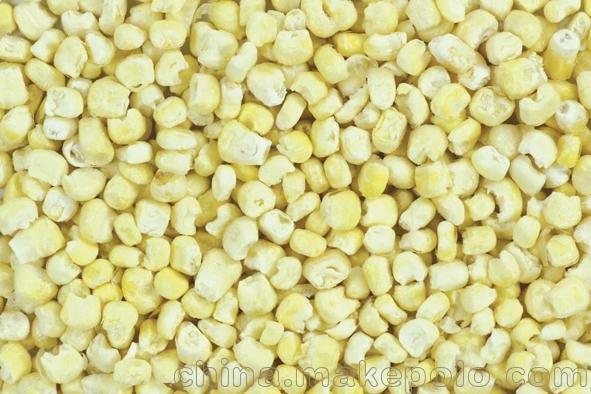 脫水玉米  脫水蔬菜 廠家直銷 琦軒食品 廣東東莞圖片
