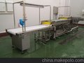 蔬菜清洗加工流水线