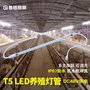 鲁格 养殖led灯管t5防水DC48V亮度可调养鸡场禽舍照明led灯
