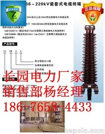 110kV|(h)_׹ͽK^_