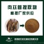 厂家供应肉苁蓉提取物10：1 肉苁蓉粉 水溶粉