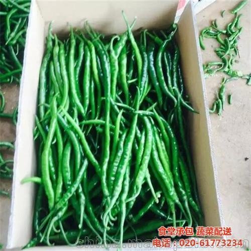 康峰價(jià)格實(shí)惠 蘿崗區(qū)蔬菜批發(fā)市場圖片