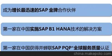 ϺSAP˾ SAPѯ˾ SAPƺ MTC