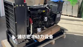 16千瓦柴油發(fā)電機(jī)組 WP2.3D25E200四缸機(jī)械泵