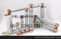曙州曙光RN1-6KV/0.5A 10A 25A 15A户内高压熔断器