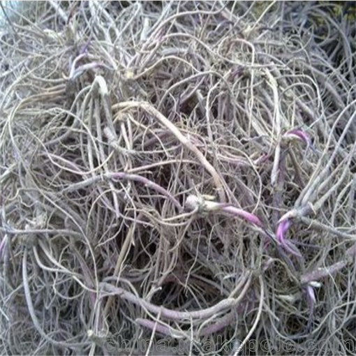 桔梗藥材收獲機(jī) 不漏藥根莖藥材起根機(jī)圖片