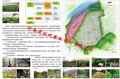 支持农业产业化发展的意见