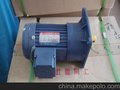 台湾东力电机PF22-0200-90C立式200W系列