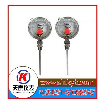 天康儀表鎧裝熱電阻WZPK-205S圖片