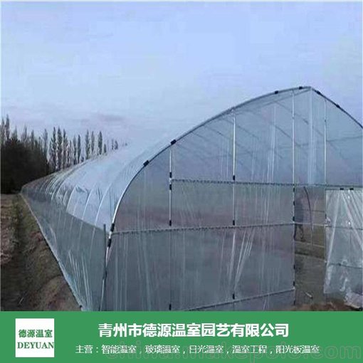 日光蔬菜溫室大棚加工 花卉種植溫室圖片