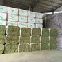 进口美国优质苜蓿草经济苜蓿草挺汇国际