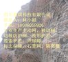 GPS2主动防护网_广安景区主动网35元国标内江泸州市区零售批发