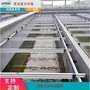 链板式刮渣刮泥机营口链条式刮泥机