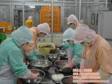 泰安出國勞務(wù)中介、匯信國際(查看)