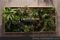 上海仿真多肉植物墙制作