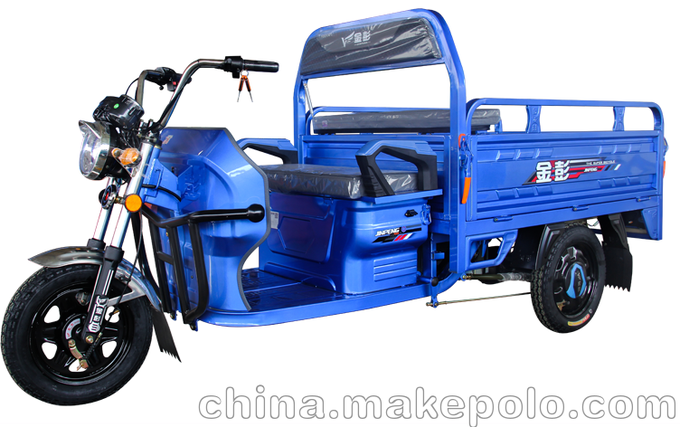 金彭威龍II帶高低速電動(dòng)三輪車(chē)圖片