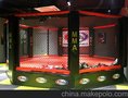 金牛专业MMA拳击八角笼UFC拳击擂台厂家