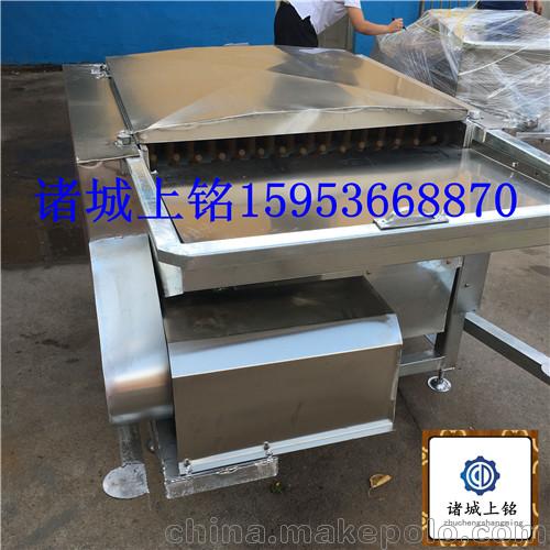 水鴨脫毛廠家直銷