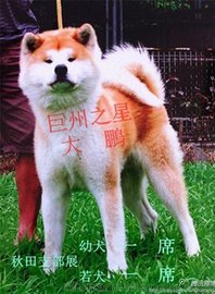 Ȯr(ji)ȮоȮ