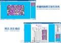 骨髓细胞图文报告系统